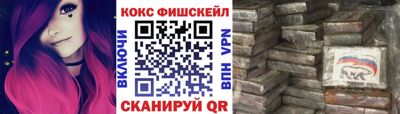сайты даркнета Telegram  Щучье  Кокаин Columbia  omg tor 