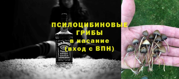 PSILOCYBIN Медвежьегорск