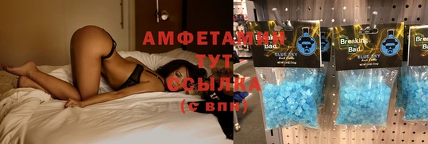 PSILOCYBIN Медвежьегорск