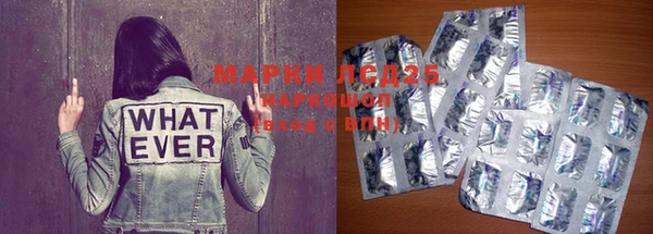 PSILOCYBIN Медвежьегорск