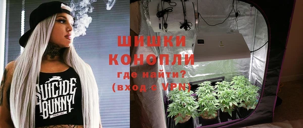 PSILOCYBIN Медвежьегорск