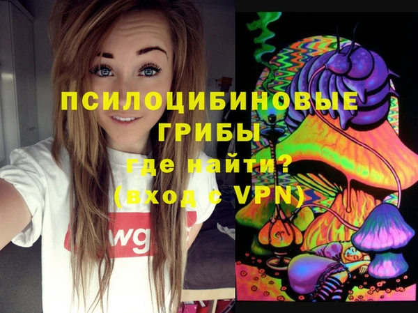 PSILOCYBIN Медвежьегорск